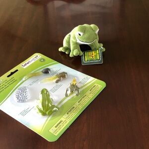 Green Frog Plush and Toy Set